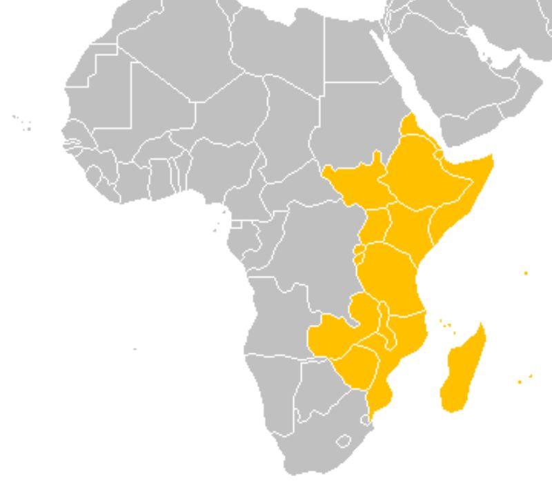 Các quốc gia Đông Phi