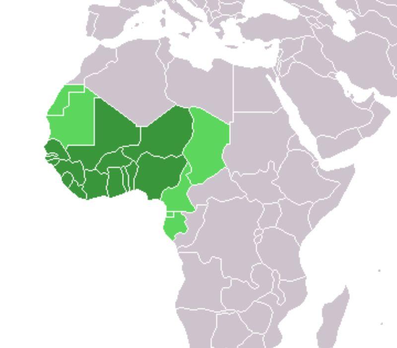 Các quốc gia Tây Phi