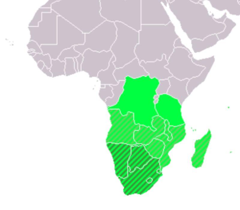 Các quốc gia Nam Phi