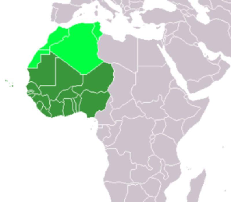 Châu Phi hạ Sahara